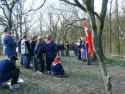 thm_Pic 2004-04-23 14.jpg